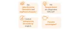 Instructions for use for Shampooing lame KETOconazole 20 mg/g, 60 ml - 2