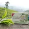 Thé vert bio H&amp;S de Darjeeling, sachets filtrants, 20 x 2 g