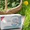 H&amp;S sachets filtre thé à jeun bio, 20X1,5 g