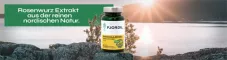 Instructions for use for Gélules Fjordil Rhodiola Rosea (90 pièces) - 1