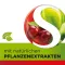 Dobensana Herbal Kirschgeschm.vit.c & Pastille de zinc.(36 pièces)