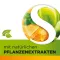 Dobensana Miel à base de plantes Vitamines C &amp; Pastil de zinc.(36 pièces)