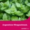 LINGUMELT comprimés orodispersibles aigus, 6 pc