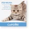 CAPSTAR Comprimés de 11,4 mg pour chats/petits chiens, 1 pc