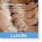 CAPSTAR 57 mg Comprimés pour grands chiens, 1 pc