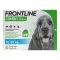 FRONTLINE COMBO contre les tiques, les puces sur les chiens M (10-20 kg), 3 pcs