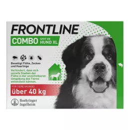 FRONTLINE Combo Spot on chien XL Lait pour application cutanée, 3 pces