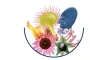 Instructions for use for Globules froids Metaglobiflu, 10 g - 2