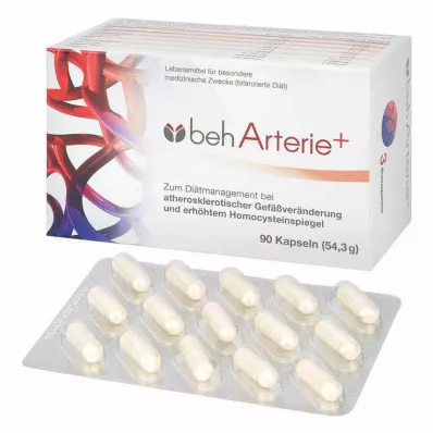 BEH Gélules Arterie+, 90 capsules