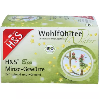 H&amp;S Thé dhiver bio menthe-épices sachet-filtre, 20X2.0 g