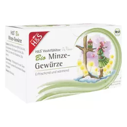 H&amp;S Thé dhiver bio menthe-épices sachet-filtre, 20X2.0 g