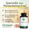 Green Naturals Spermidine 1,6 mg capsules végétaliennes, 240 pc