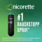 Nicorette Fruit &amp; Spray Menthe 1 mg / spray NFC, 2 pc