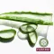 Plantana Aloe Vera Care Bain Douche à lAloe Vera Bio, 500 ml