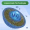 Glycowohl Vital Liposomal Magnésium Haute Dos.kps.(120 pièces)