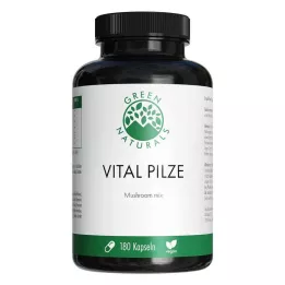 GREEN NATURALS Champignons Vital Cordyceps Reishi vegan, 180 pc