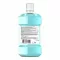 Listerine Cool Mint, bain de bouche à saveur douce, 500 ml